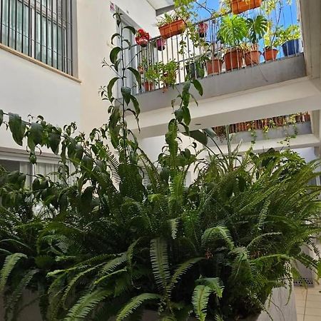 Suite Trinidad Centro Малага Екстериор снимка